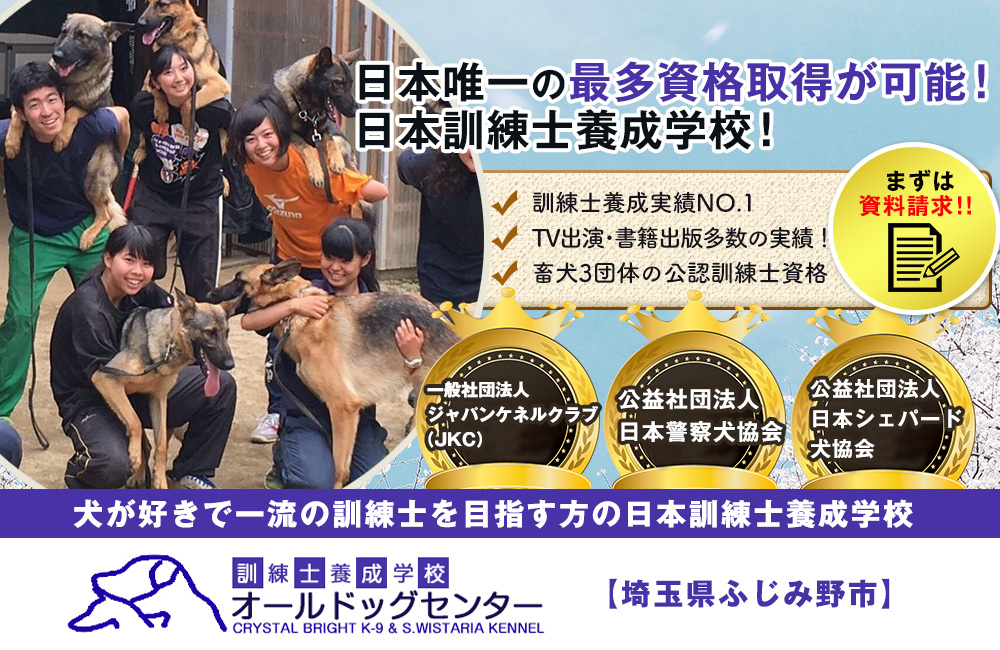 日本唯一の最多資格取得が可能！日本訓練士養成学校！